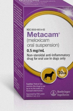 Meloxicam Kaufen Apotheke Generika